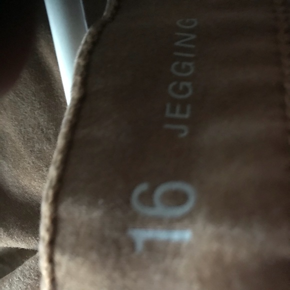 a.n.a Pants - Beautiful Brown Fall Jeans/Jeggings